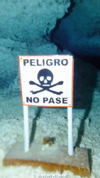 The point of no return - Chac Mool Cenote - notice the Ha... by Stephan Attwood 